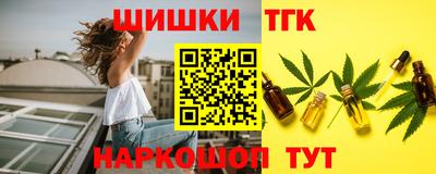 a pvp Камышлов