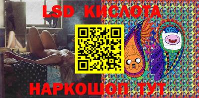 a pvp Камышлов