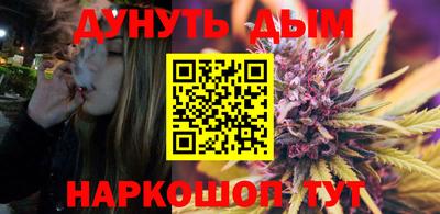 a pvp Камышлов