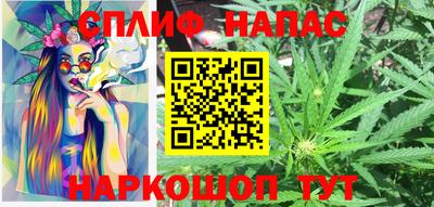 a pvp Камышлов