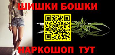a pvp Камышлов