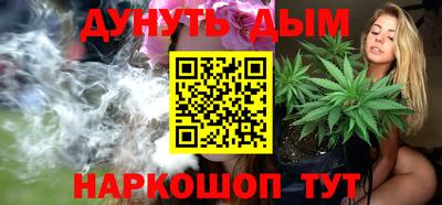 a pvp Камышлов
